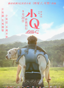 梁朝伟和汤唯的免费观看